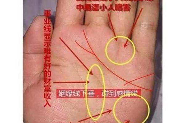 揭开手相的神秘面纱：它能告诉你什么？