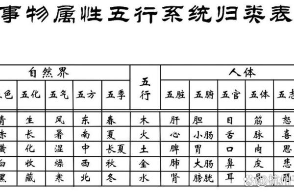 二字五行属性解析与实例探讨