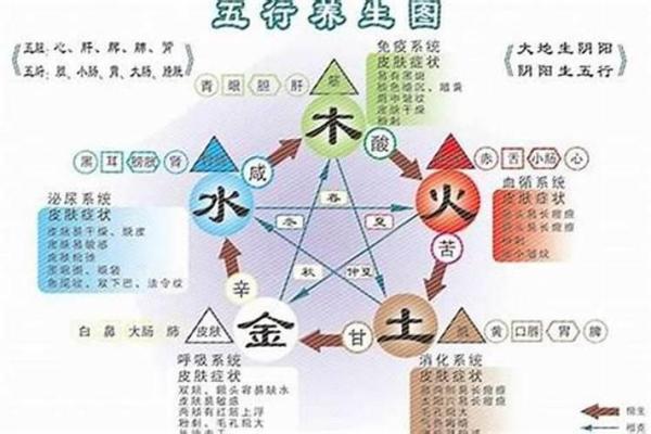 孩子生辰八字五行分析助力个性化教育规划