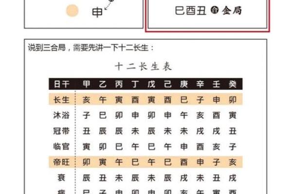 八字地支三会的深度解析与应用技巧