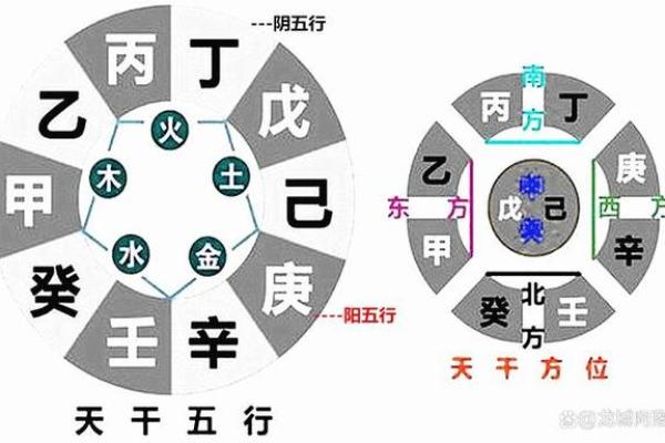 地支生克在八字命理中的重要性与应用