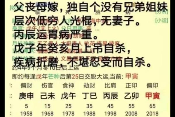 地支生克在八字命理中的重要性与应用