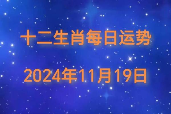 今日生肖运势解析，掌握你的幸运与挑战