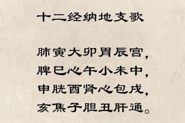 地支的起源与在中国传统文化中的重要性解析