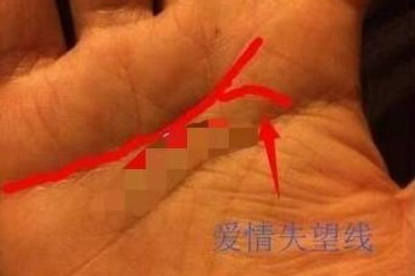 手相面相双重解析：如何预测健康与感情走向