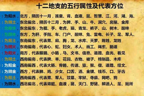 从猎人角度看十二地支的战略意义