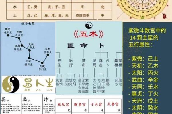 得字五行属性解析及其在命理中的重要性