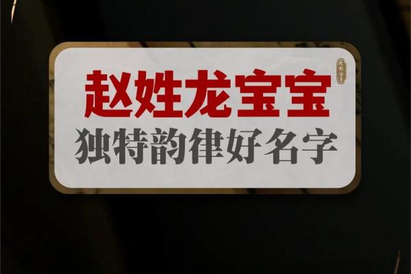 赵姓取名大全：传统与现代的完美结合