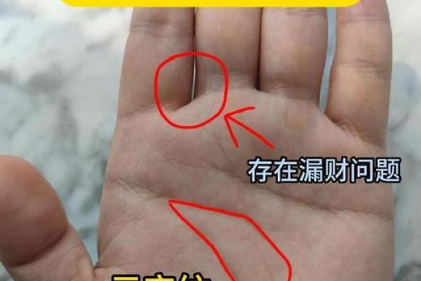 元宝纹手相特征与含义：命运之路的指引
