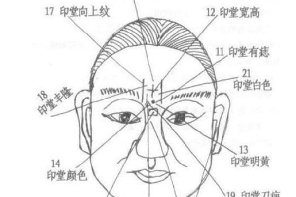 不同眉型的面相分析与命运解读