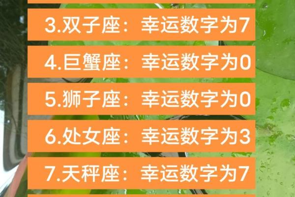 白羊座今日运势揭秘：勇敢迎接挑战，收获新机遇