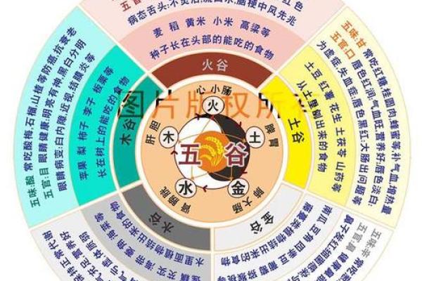 凤字五行属性解析及其文化意义