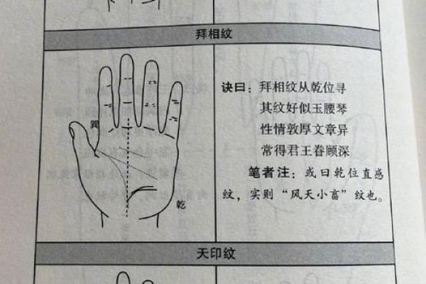 探索男人手相图解：如何通过掌纹预测人生走向