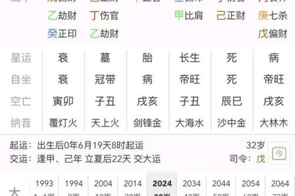 地支相冲相克关系解析及应用指南