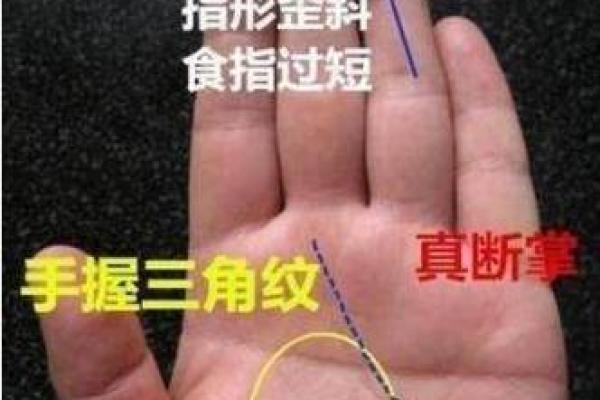 手相学中的最佳命运标志，解读人生指引