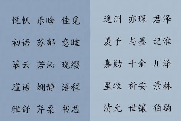 龙姓宝宝取名的最佳选择与技巧 龙姓宝宝取名的最佳选择与技巧