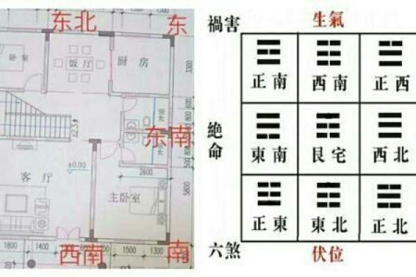 阳宅风水入门指南：掌握家居环境的能量流