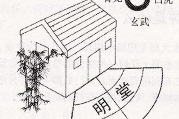 房屋风水对财运的影响及其调整方法