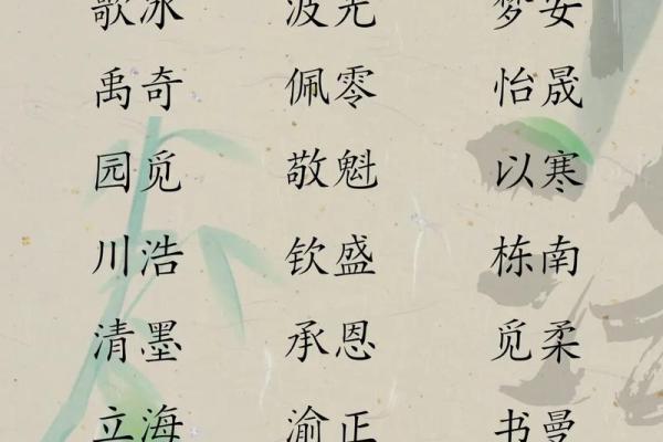 宝宝名字选择：文化、寓意与音韵的平衡