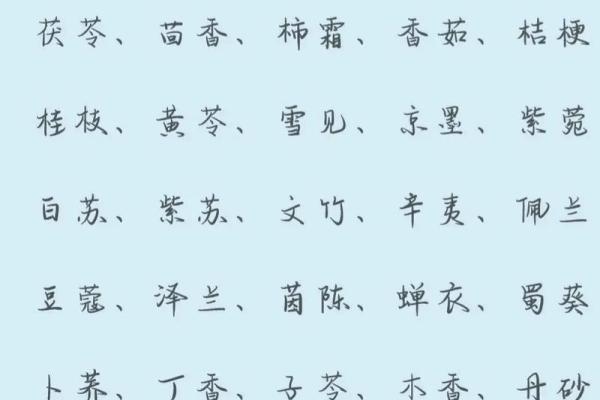 宝宝名字的五大原则：音韵、意义与家庭传统