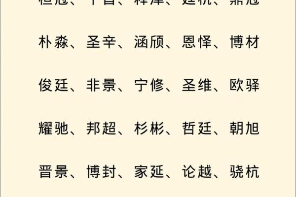 免费取名：如何轻松选择最合适的名字