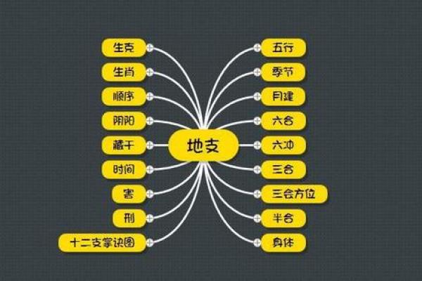 地支暗藏玄机：探索十二地支背后的神秘力量