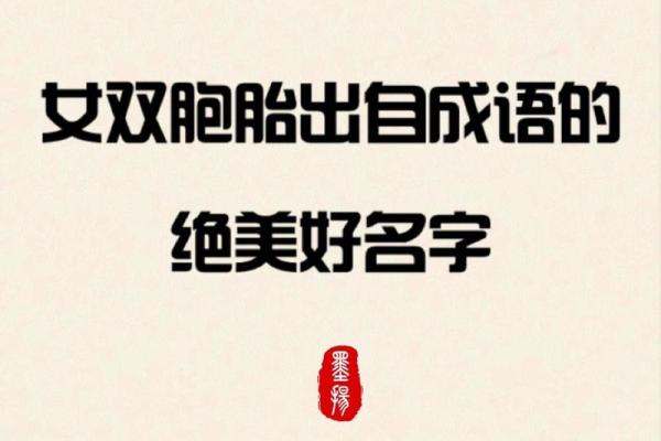 如何为双胞胎取名更具创意与意义