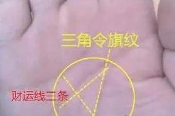 中指手相分析：掌中线条如何影响你的人生