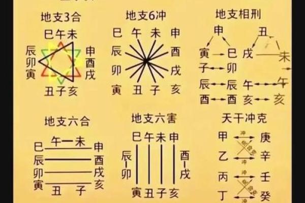 地支关系图解析：深入理解十二地支的相互联系与作用