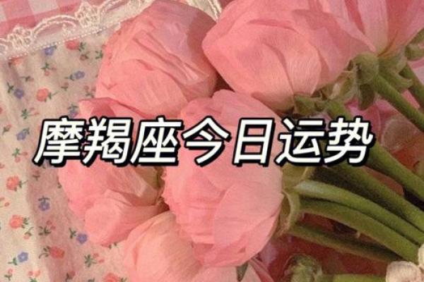 今日摩羯座运势详解：情感与事业平衡之道