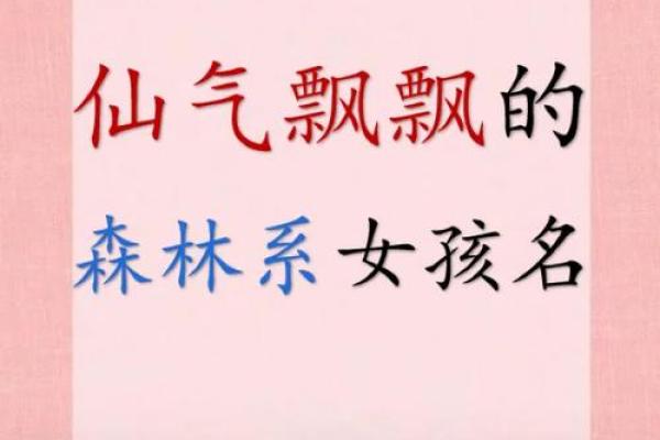 姬姓取名指南:如何为宝宝选择独特且寓意深远的名字 姬姓取名指南:如何为宝宝选择独特且寓意深远的名字
