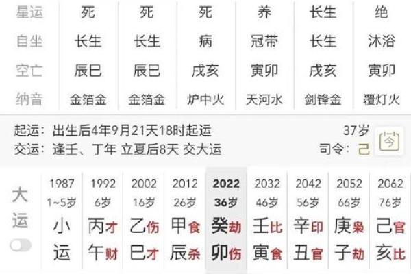 八字中如何识别财星及其影响分析