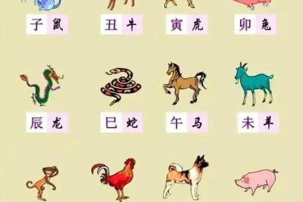 地支的读音与传统文化的深层联系解析