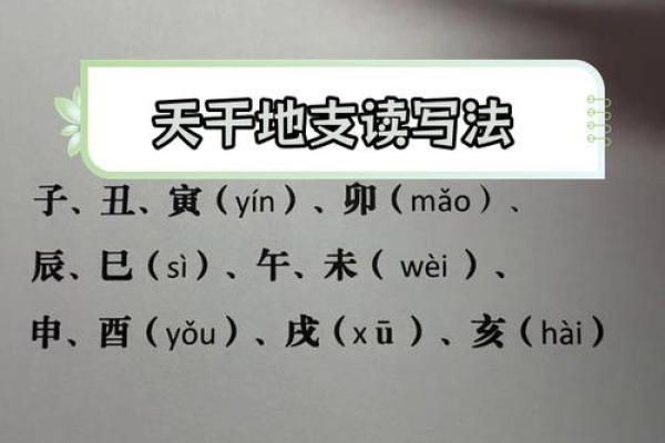 生辰八字天干地支解析与命运解读方法