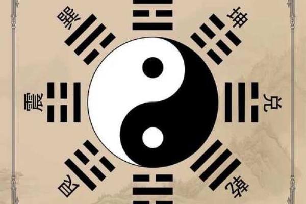 地支属性与生肖运势的深度关联