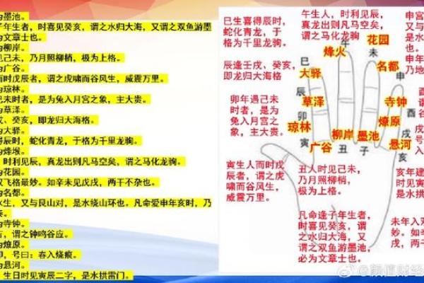 从天干到地支：解密地支在命理学中的角色