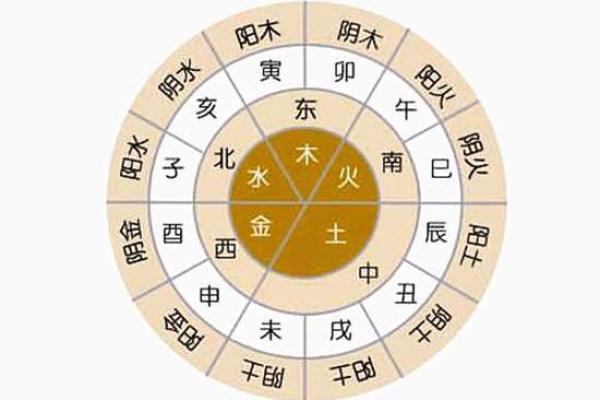 地支属性解析：探索十二地支与五行的深刻联系