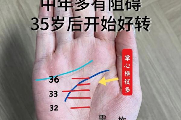 手相分析：如何从手掌看出未来的趋势