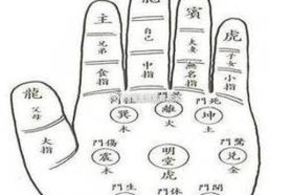 手相分析：如何从手掌看出未来的趋势