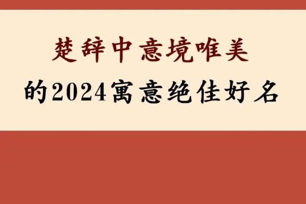 曾姓男孩起名技巧：传承文化与现代风格的完美结合