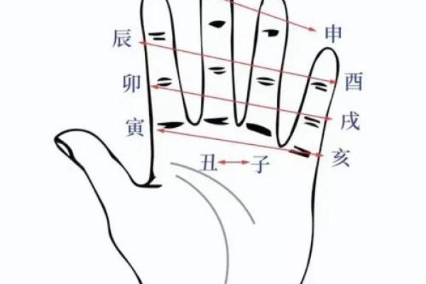 地支辰酉合的命理解析与运势影响