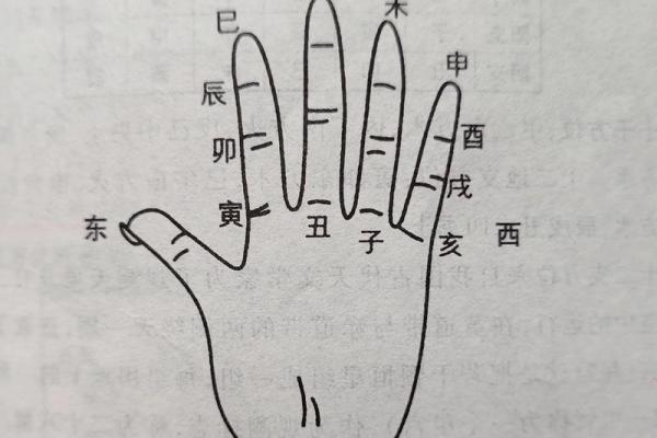 地支类象：从古代命理看十二地支的象征意义与运势分析