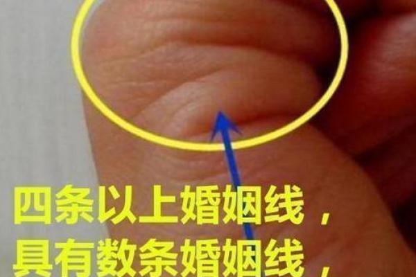 揭秘女孩手相中的爱情与事业走势