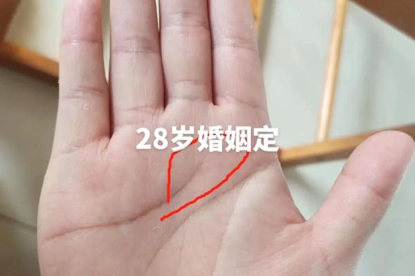揭秘手纹手相：透过掌纹看人生轨迹与命运走向