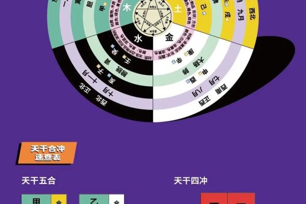 地支五行属性与命理的深刻关联解析