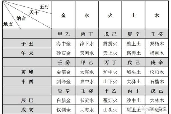 地支五行属性与命理的深刻关联解析