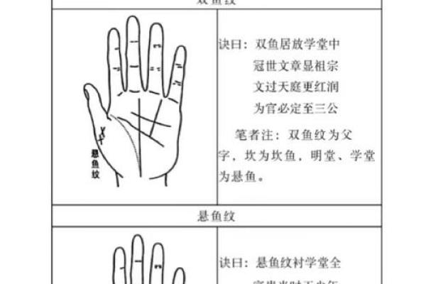 男人手相图解指南：掌纹识别与性格、事业、爱情的关系