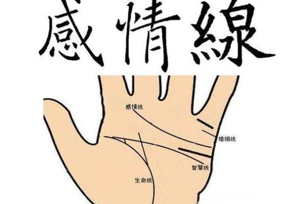 男人手相图解指南：掌纹识别与性格、事业、爱情的关系