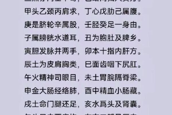 八字十天干的深层含义与命运解析