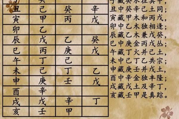 地支所藏的奥秘与命理解析